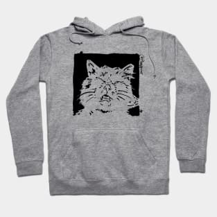 Sleepy cat Hoodie